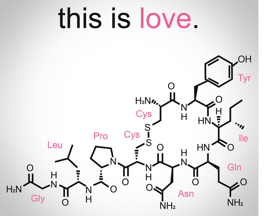 Oxytocin Love Pheromone 2b